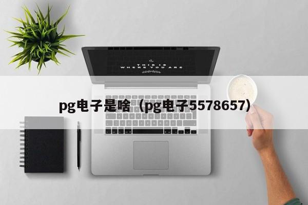 pg电子是啥(pg电子5578657)